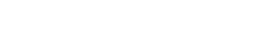 Valiente Consulting